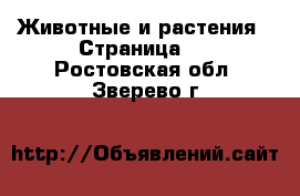  Животные и растения - Страница 2 . Ростовская обл.,Зверево г.